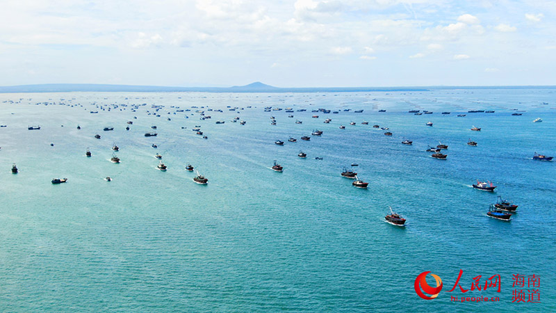 南海开渔！海南临高千帆竞发迎丰收