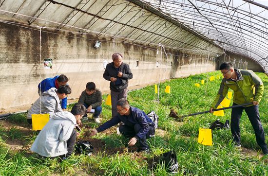 南开学生团队“以虫治虫”解决农残问题