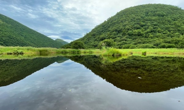 递交“生态答卷” 重庆五里坡自然保护区“申遗”成功