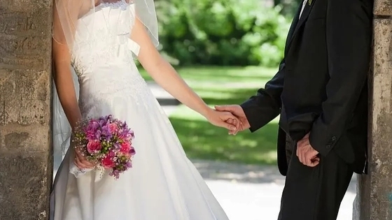 多地结婚人数现近年来首次回升