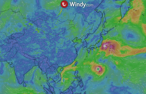 windy官网中文版v35.3.4下载